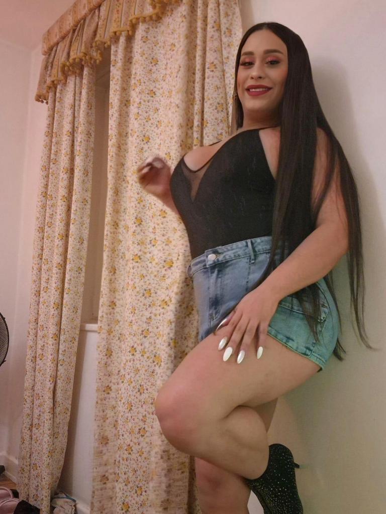 Travesti en Cantabria: 