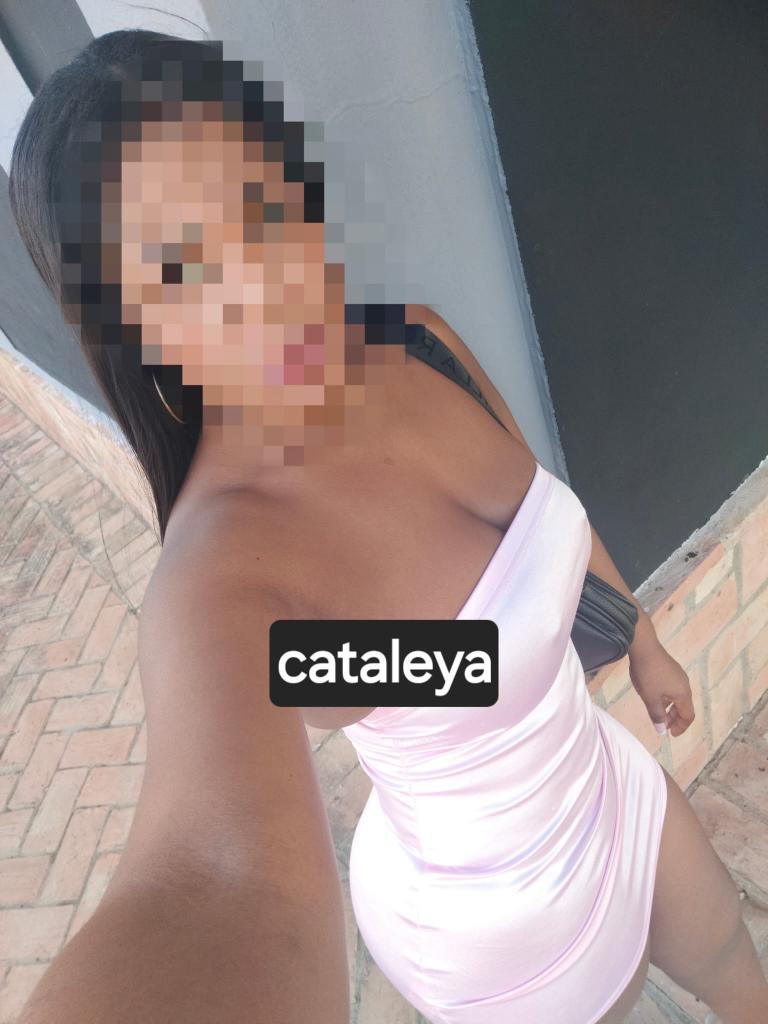 Chica busca chico en Vizcaya: 