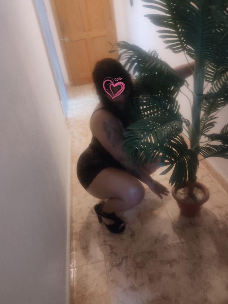 Chica busca chico en Alicante: 