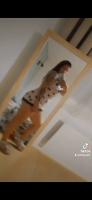 643604958: Chica busca chico en Soria