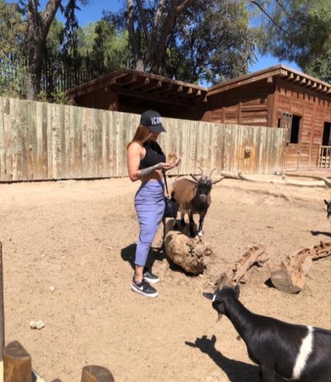 613437838: Chica busca chico en Ibiza