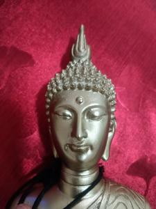 642969535: Chica busca chico en Lérida