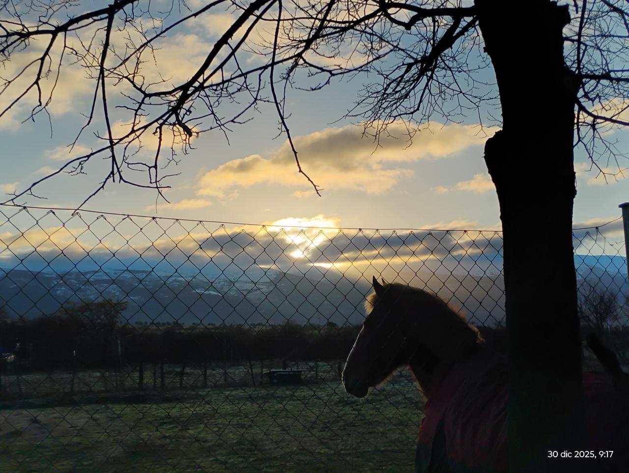 Chico busca chica en Segovia: 