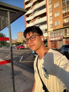 743049242: Chico busca chica en Zaragoza