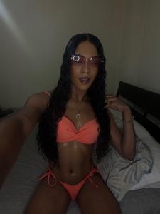 691684116: Transexual en Valencia