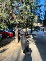 631361107: Travesti en Pontevedra