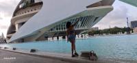 603201729: Chica busca chico en Valencia