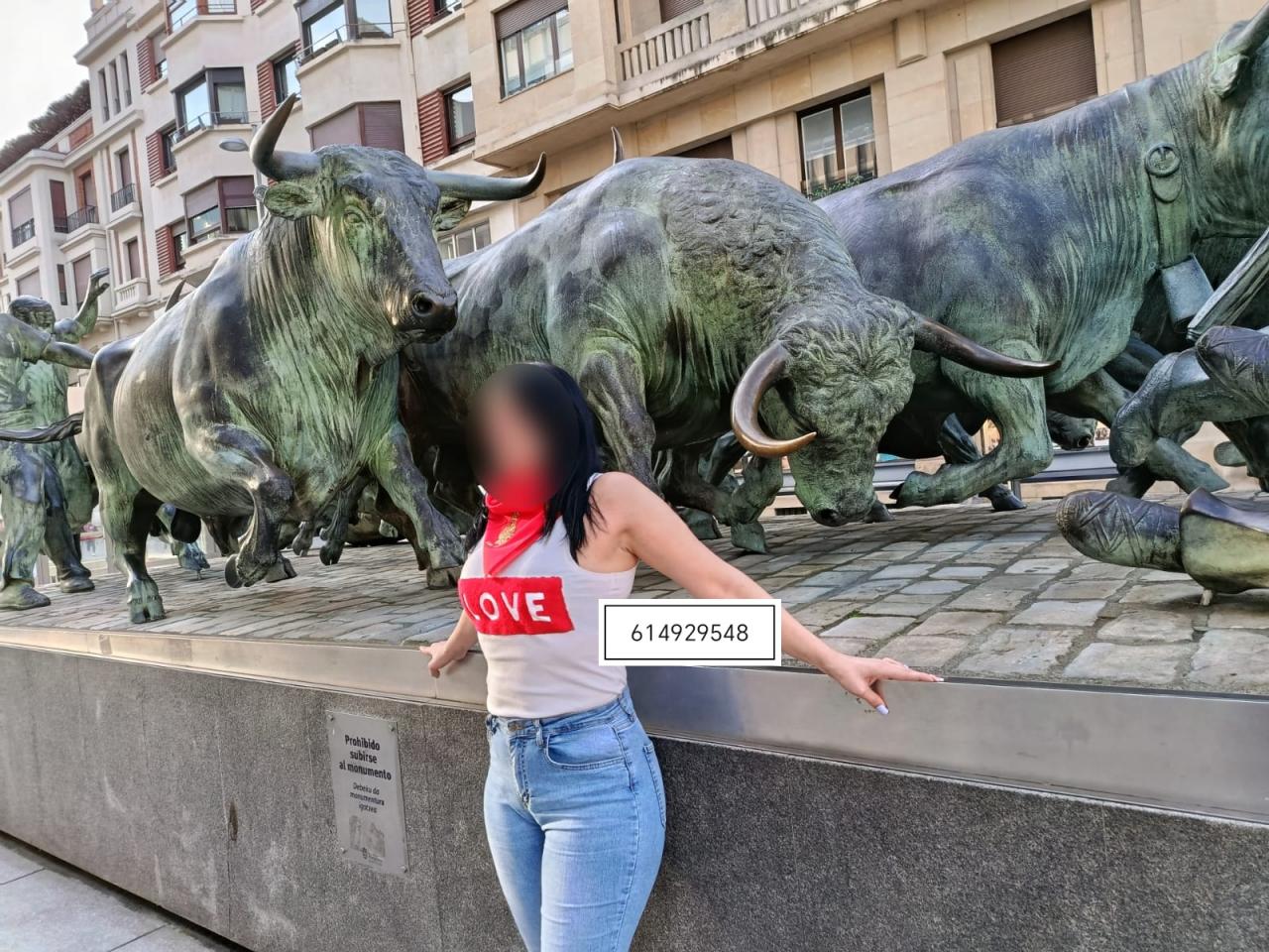 Chica busca chico en Navarra: 