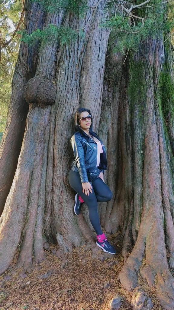Transexual en Cantabria: 