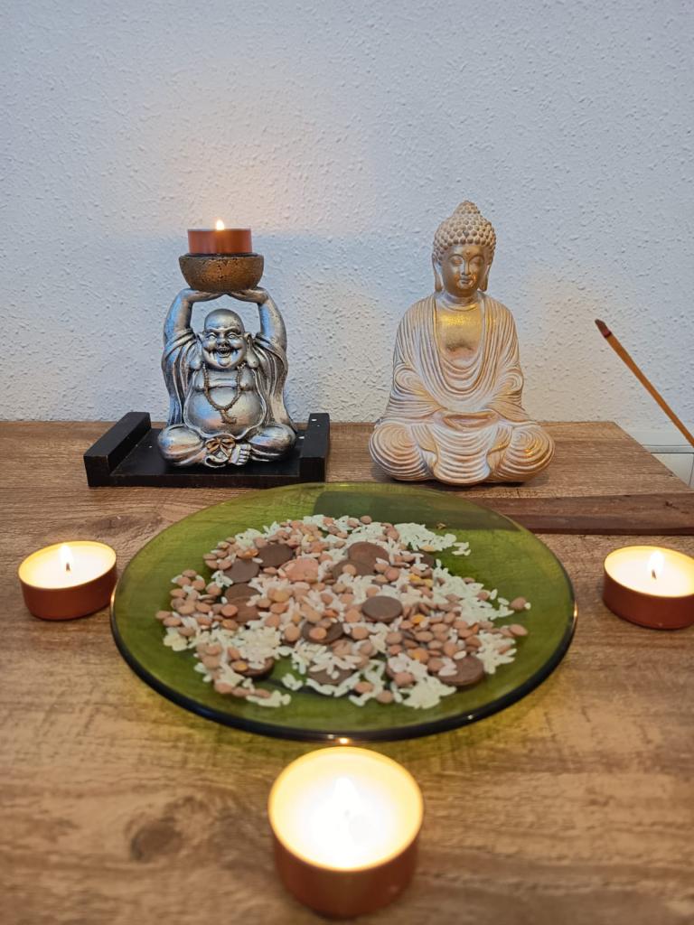 Chica busca chico en Castellón: 