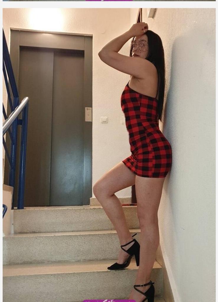 Chica busca chico en Alicante: 