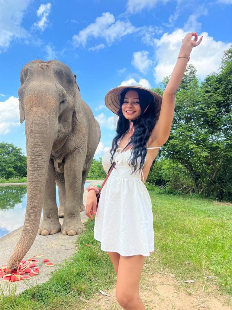 605118302: Virtual en Álava