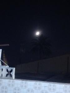 613497548: Chica busca chico en Alicante