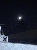 613497548: Chica busca chico en Alicante