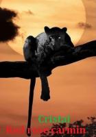 699373955: Chica busca chico en Murcia