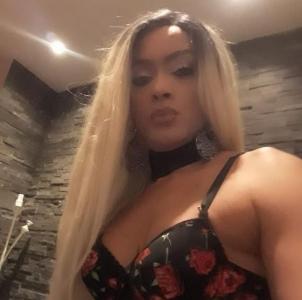 Travesti en Tarragona: 