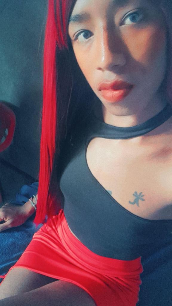 Transexual en Alicante: 