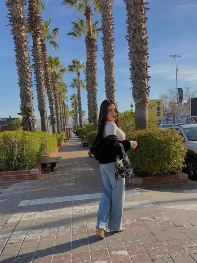 Travesti en Alicante: 