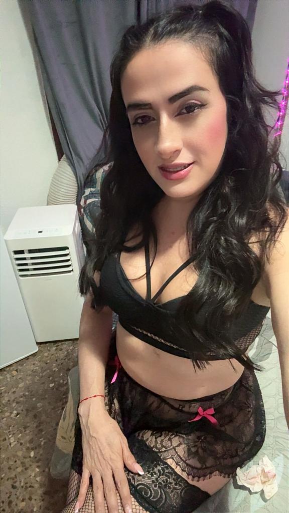 Transexual en Alicante: 