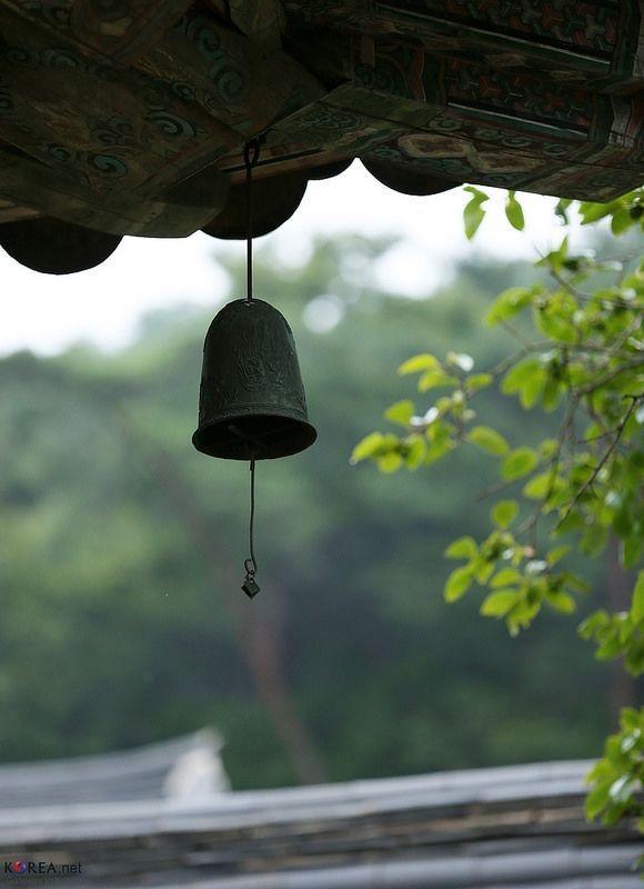 602537829: Chica busca chico en Mallorca