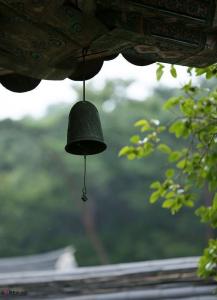 602537829: Chica busca chico en Mallorca