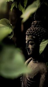 602537829: Chica busca chico en Mallorca