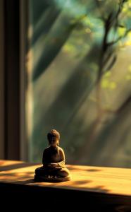 602537829: Chica busca chico en Mallorca