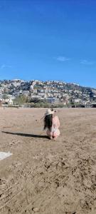 631908073: Travesti en Gerona