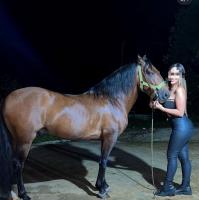 672505862: Chica busca chico en La Coruña