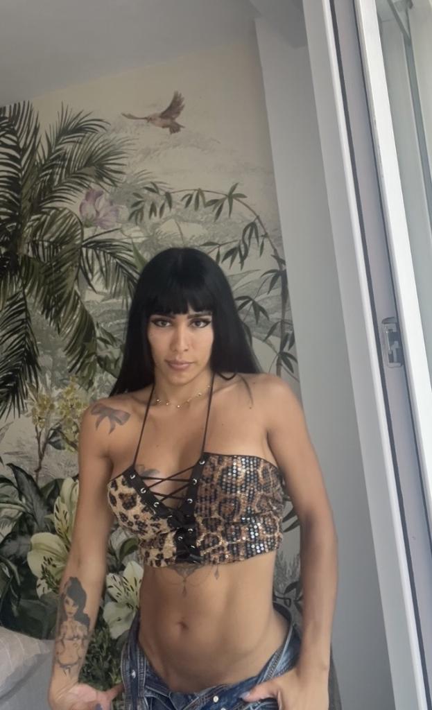 Transexual en Málaga: Transexuales y Travestis