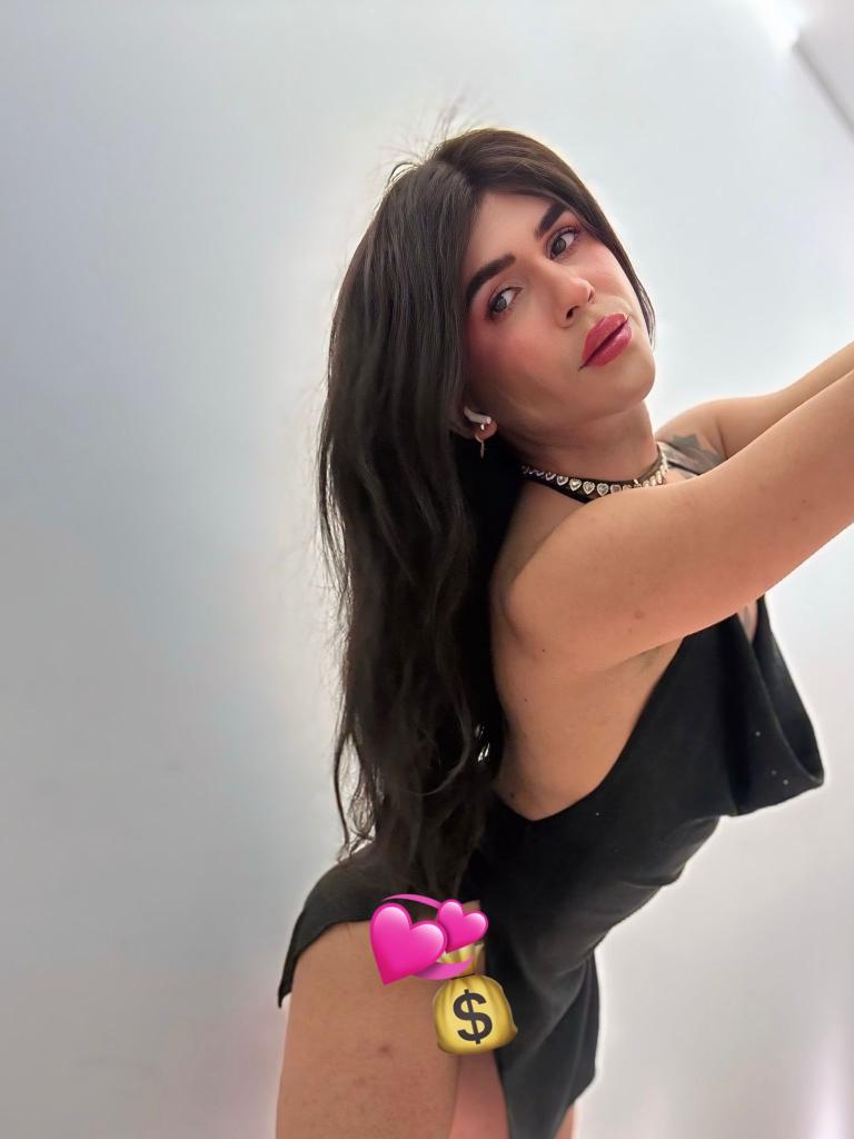 Transexual en Vizcaya: Transexuales y Travestis