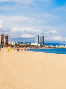 Chico busca chica en Barcelona: 