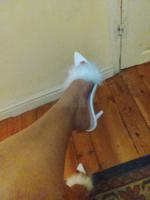 655083811: Chica busca chico en Cantabria