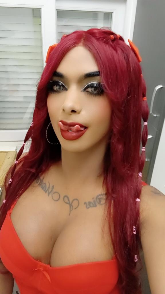 Transexual en Tarragona: 