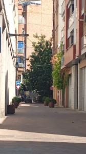 Chica busca chico en Lérida: 