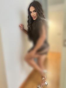625751004: Travesti en Las Palmas