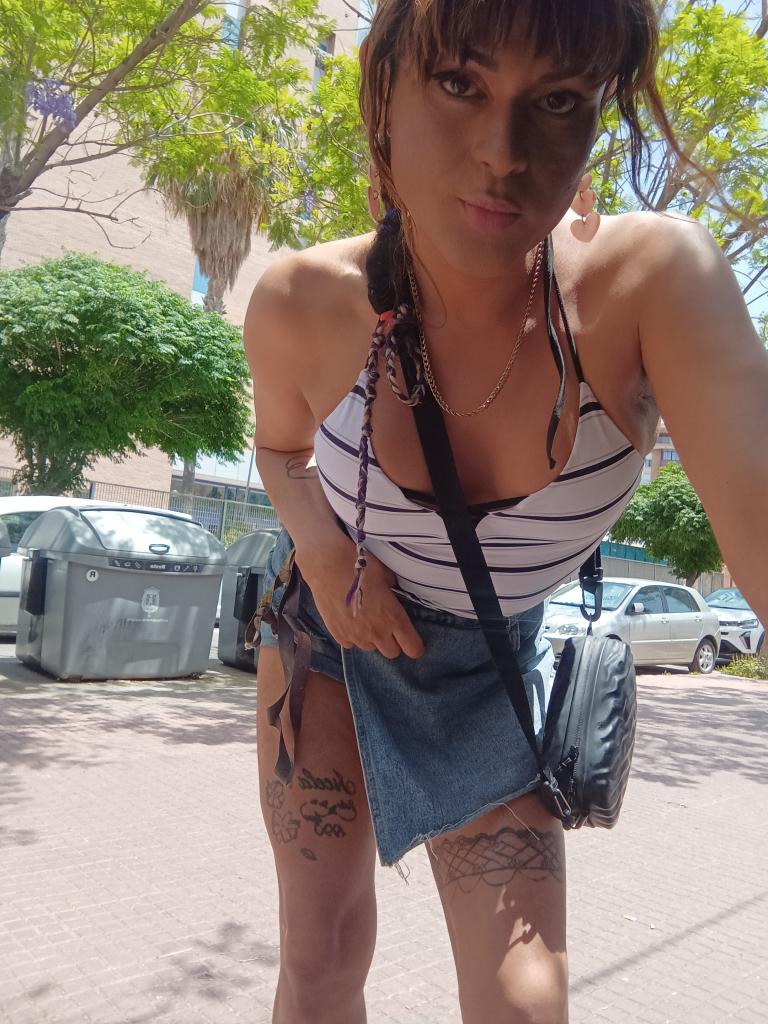 Travesti en Alicante: 