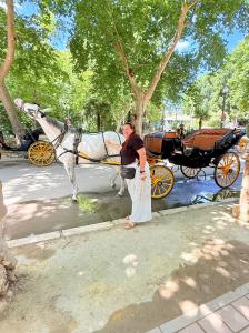 613416490: Chica busca chico en Sevilla