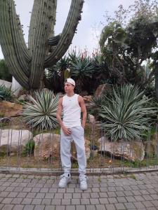 643314821: Chico busca chica en Ibiza