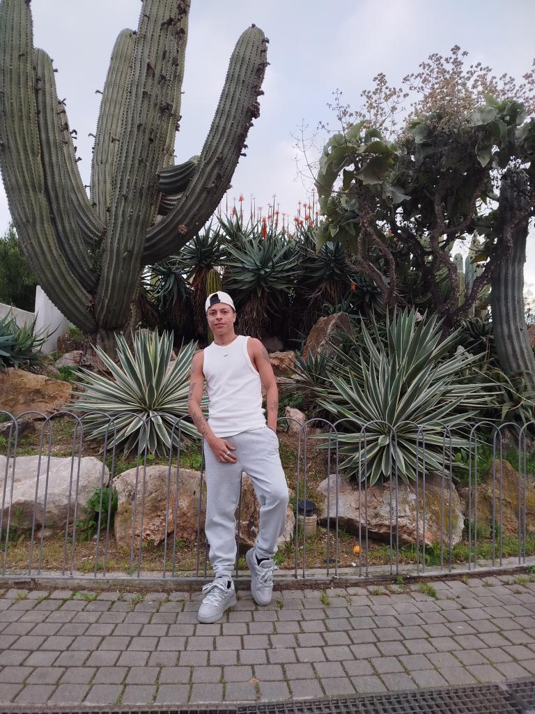 643314821: Chico busca chica en Ibiza