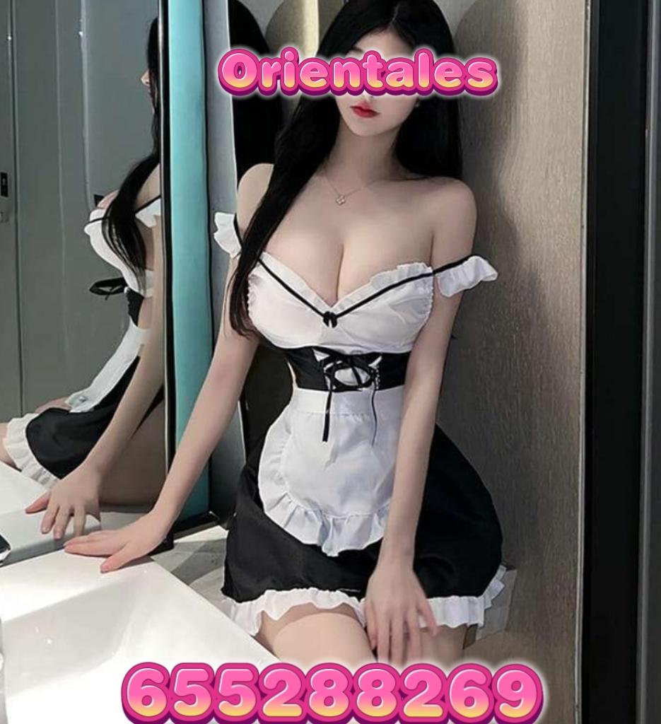 Chica busca chico en Ibiza: Chica busca chico