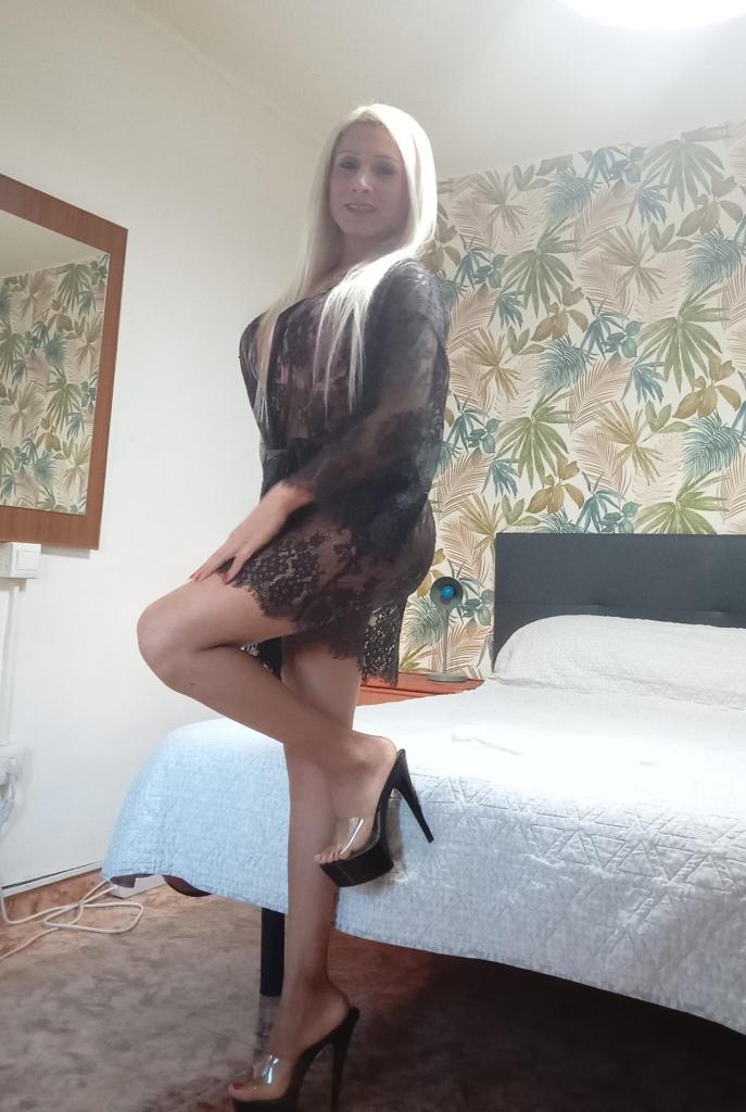 680444160: Travesti en Albacete