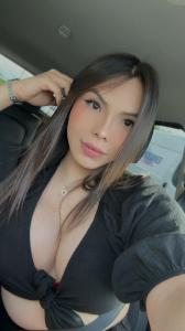 Travesti en Alicante: 