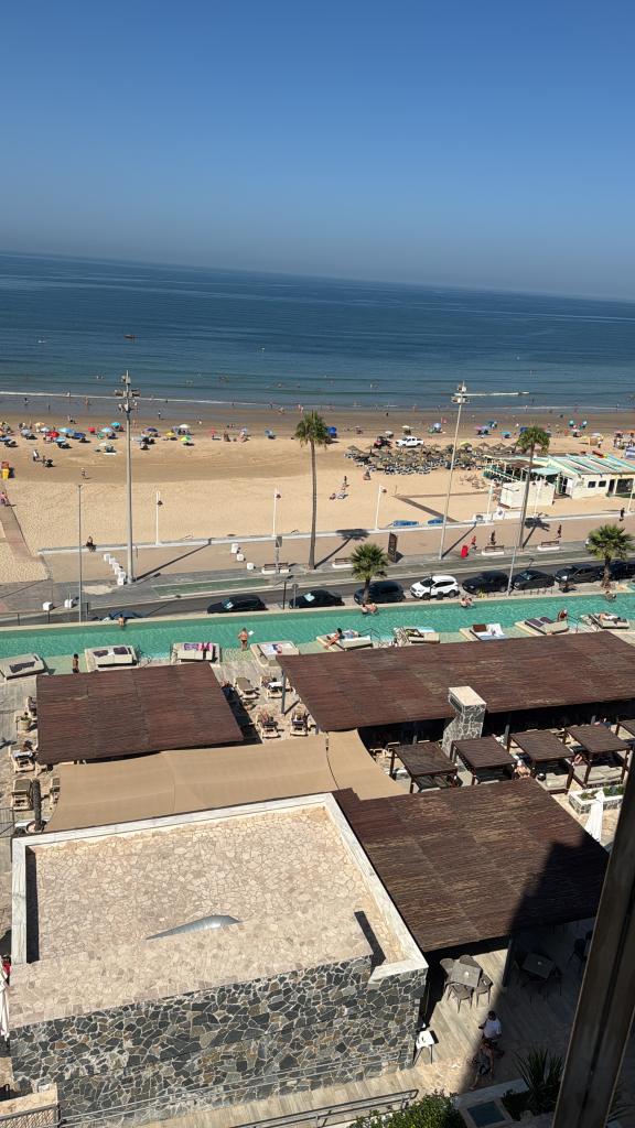 Chico busca chica en Alicante: 