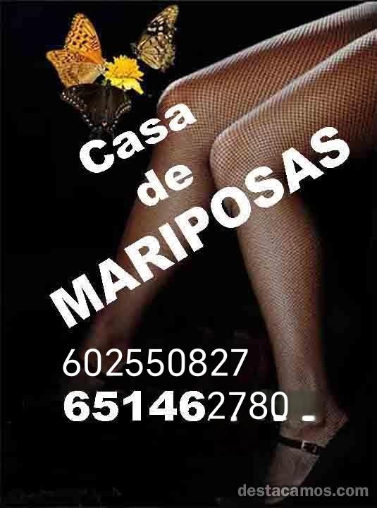 651462436: Virtual en Valladolid