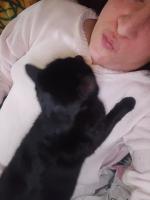 631538982: Chica busca chico en Toledo