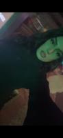 641349692: Travesti en Madrid