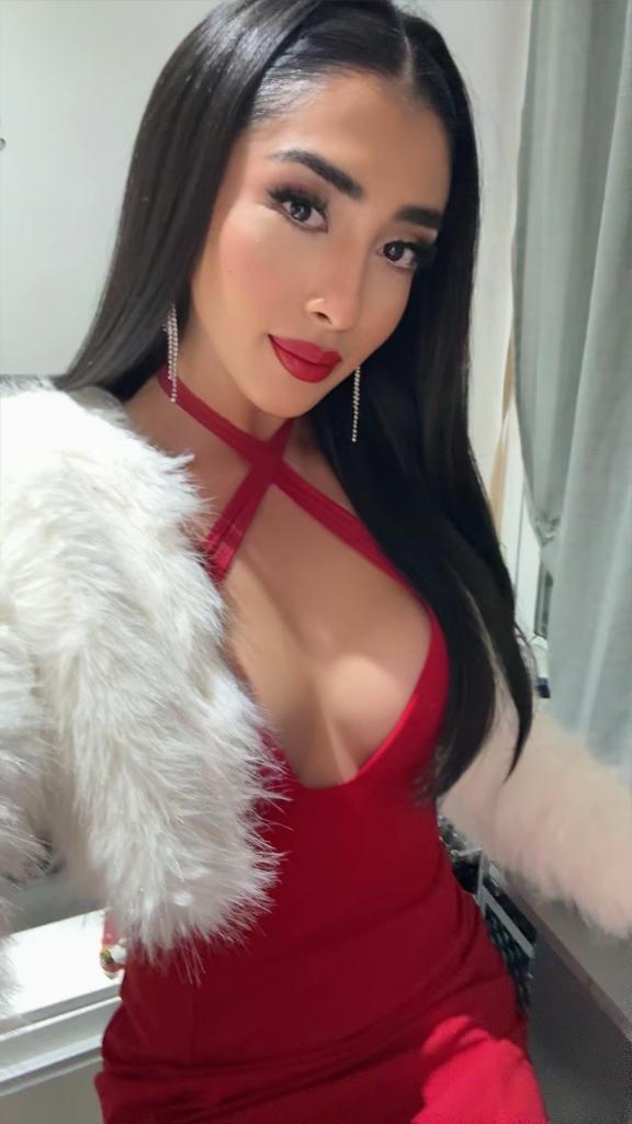 Travesti en Castellón: 