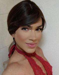 Transexual en Alicante: 