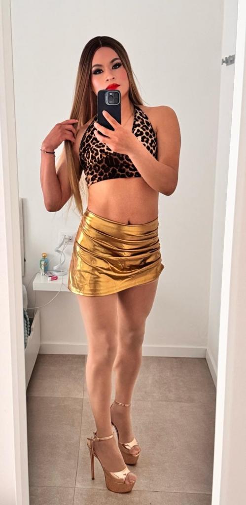 Transexual en Alicante: 